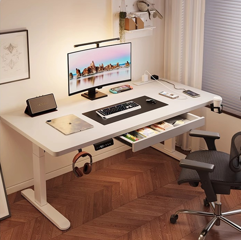 Desk Setup Ergonomics - 현대식 철제 듀얼 모터 전동 스탠딩