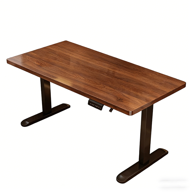 현대식 철제 듀얼 모터 전동 스탠딩 데스크, 높이 조절 - Desk Setup Ergonomics 리뷰 및 가격