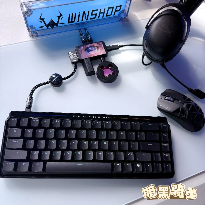 WINSHOP Esports HUB 듀얼 인/아웃 US - Desk Setup Accessories Aesthetic 리뷰 및 가격