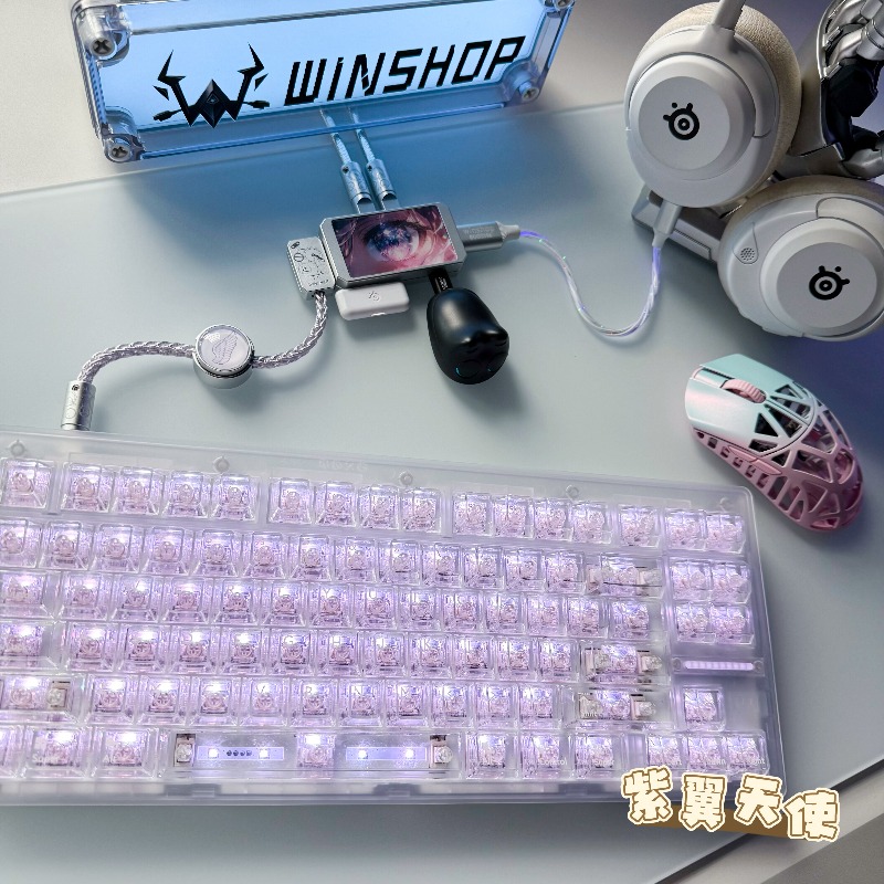 WINSHOP Esports HUB 듀얼 인/아웃 US - Desk Setup Accessories Aesthetic 리뷰 및 가격