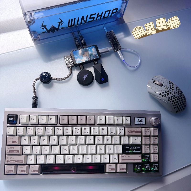 WINSHOP Esports HUB 듀얼 인/아웃 US - Desk Setup Accessories Aesthetic 리뷰 및 가격