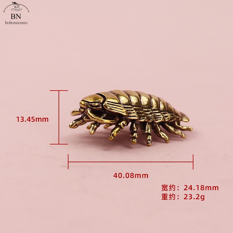 23.2g 거대한 Isopod 단단한 황동 생활 화석  - Desk Setup Design 리뷰 및 가격