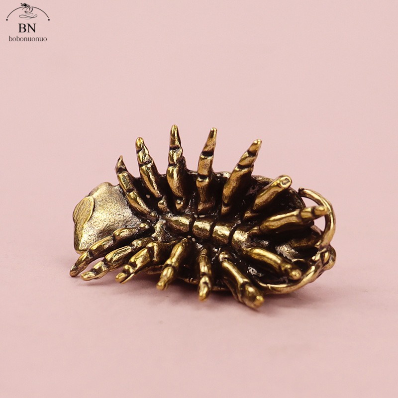 23.2g 거대한 Isopod 단단한 황동 생활 화석  - Desk Setup Design 리뷰 및 가격